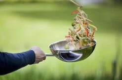 Demeyere Senses 5 RVS Wokpan - Inductie - 30 Cm – PTFE En PFAS Vrij 11 Demeyere Senses 5 RVS Wokpan - Inductie - 30 Cm – PTFE En PFAS Vrij -Keuken Serie Winkel 1200x786 2