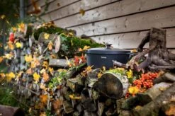 Tefal Trattoria Braadpan - Ø28 Cm - Inclusief Deksel 30 Tefal Trattoria Braadpan - Ø28 Cm - Inclusief Deksel -Keuken Serie Winkel 1200x799 40