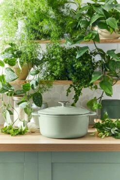 Tefal LOV Braadpan - 5L - Ø25 Cm - Groen 25 Tefal LOV Braadpan - 5L - Ø25 Cm - Groen -Keuken Serie Winkel 800x1200 16